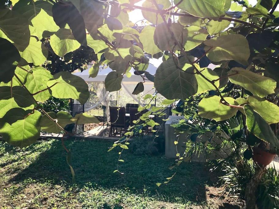 Garden Cozy Apartment Задар Екстериор снимка