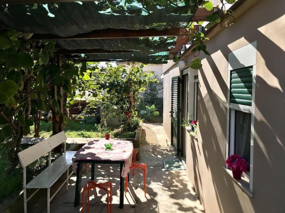 Garden Cozy Apartment Задар Екстериор снимка